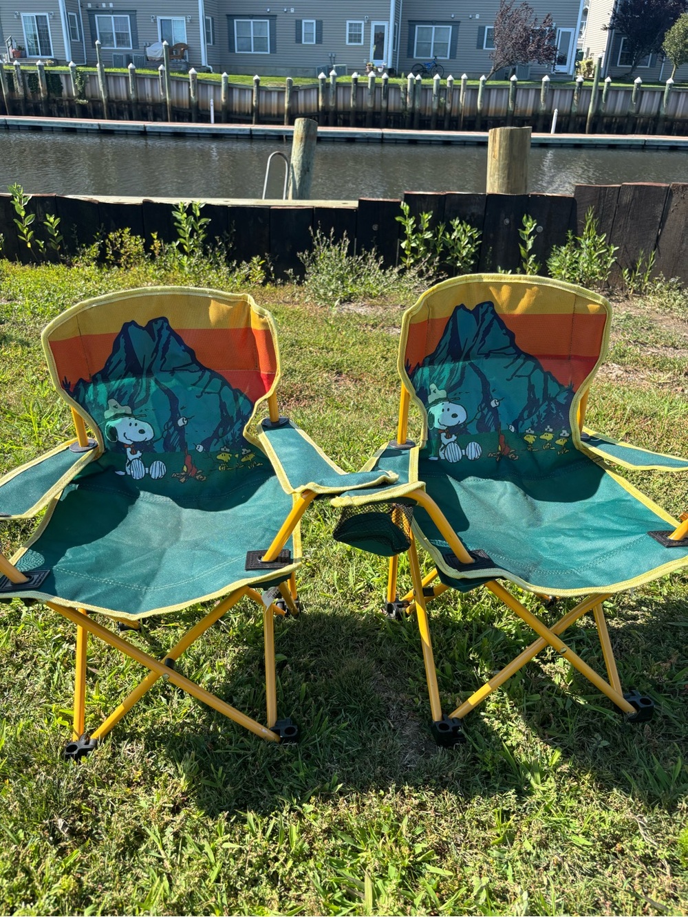 Like NEW Kids Folding Camp Chair in Snoopy character